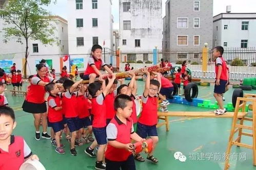 学前教育优质教学资源推荐 幼儿园体育活动
